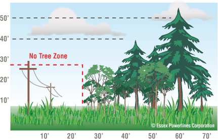 Tree Trimming Zones
